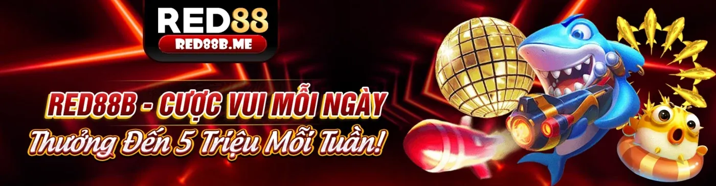 Sứ mệnh và tầm nhìn của 55cc link mới